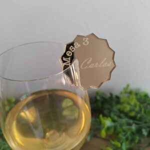 Identificador copa Shiny 1